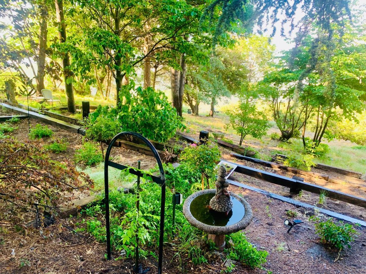 100 Mile View-Fire Pit, Romantic, Peaceful, Private Crestline Zewnętrze zdjęcie